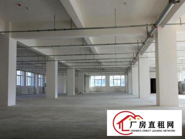 
常平土塘新空出独门独院厂房三层9000平方