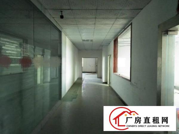 
常平漱新空出单层标准厂房500平方