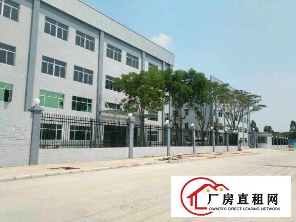 
常平上坑新空出独门独院标准4层厂房4100平方