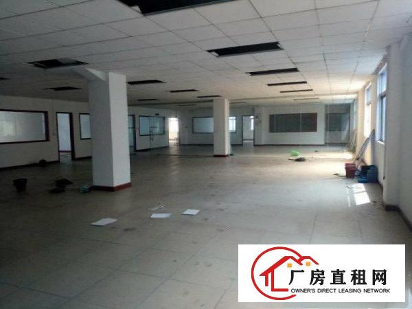
常平上坑新空出独门独院标准4层厂房4100平方