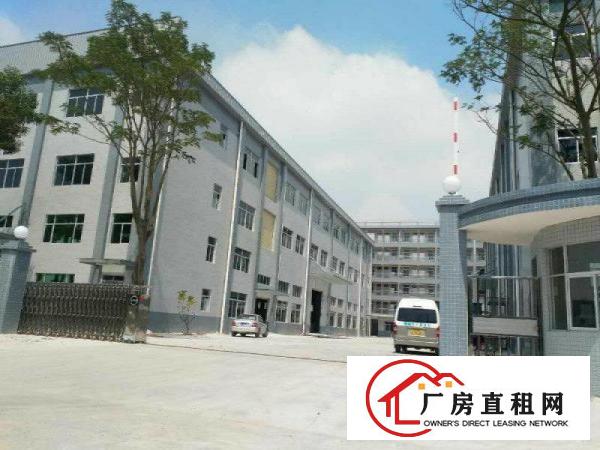 
常平上坑新空出独门独院标准4层厂房4100平方