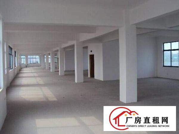 
黄泥塘新出原房东厂房招租啦！