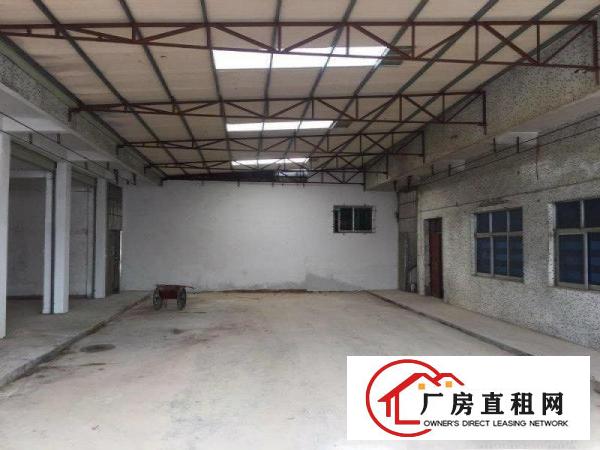 
常平镇新出独栋标准厂房5380平米分租