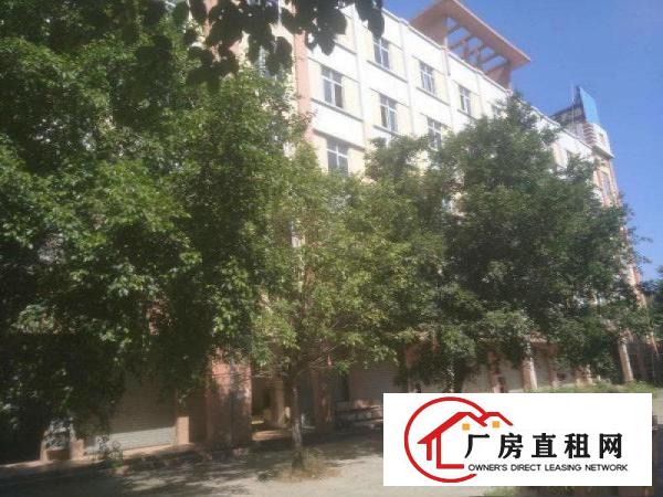 
常平镇新出独栋标准厂房5380平米分租
