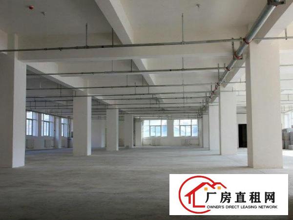 
常平岗梓现有厂房共4900平方出租