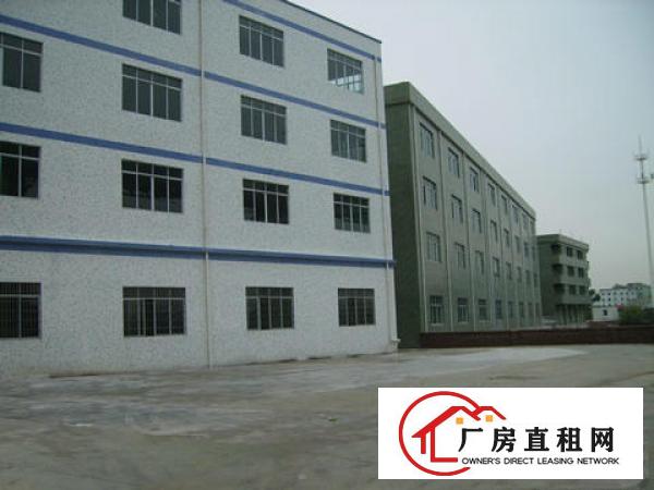 
常平镇板石村常东路工业园招租