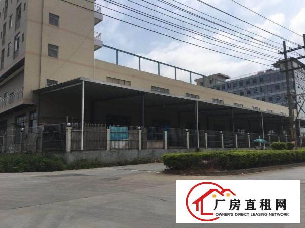 
常平新出独院厂房26300平米，形象大气位置好招工