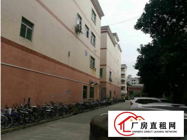 
常平卢屋楼上精装修860平米电子厂出租