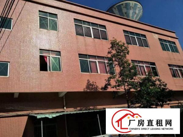 
常平岗梓新出经典小独院2500平米带装修招租