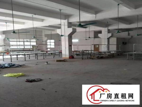 
常平岗梓新出经典小独院2500平米带装修招租