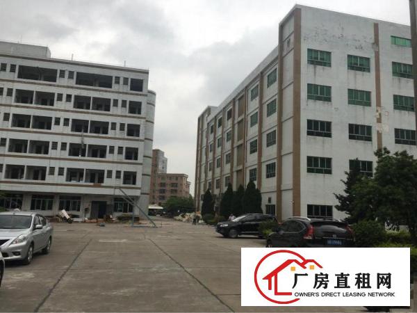 
常平镇新出无尘车间2000平