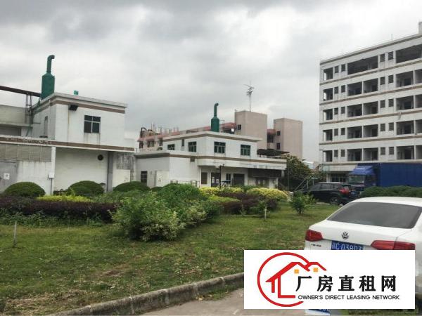
常平镇新出无尘车间2000平