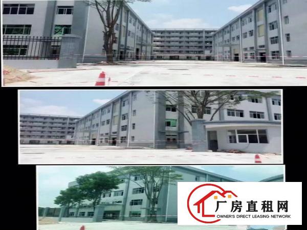 
常平桥沥全新独院厂房12150平米急租