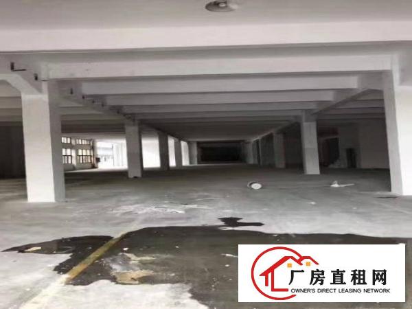 
常平袁山贝14140全新标准厂房火热招商中！
