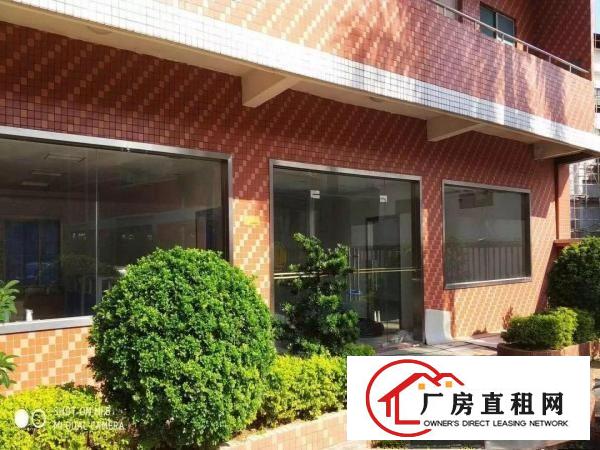 
常平新出钢构砖墙到顶13米高厂房45000平米招租