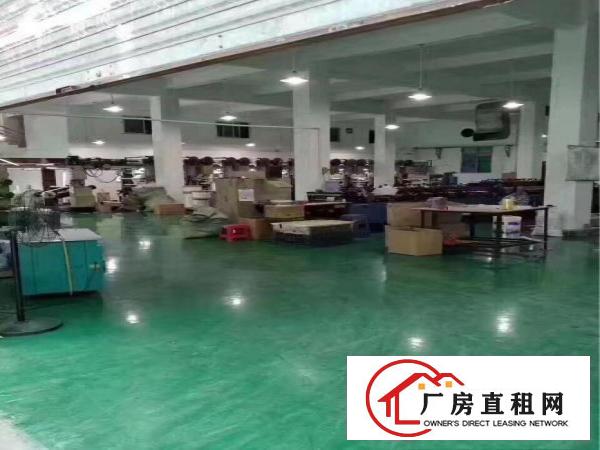 
超靓独院厂房分租一楼1050平方出租