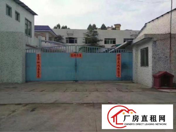 
超靓独院厂房分租一楼1050平方出租