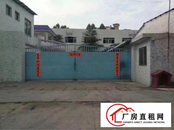 
超靓独院厂房分租一楼1050平方出租