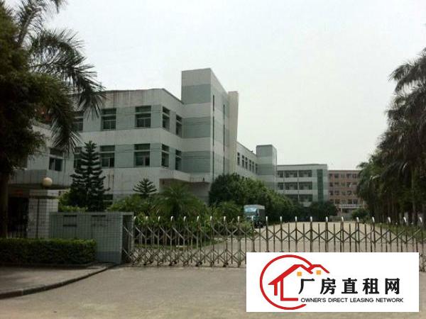 
常平新出标准独院厂房5000平方出租！有现成装修