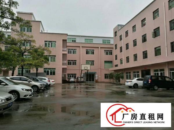 
花园厂房一楼出租450平方