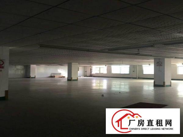 
花园厂房一楼出租450平方