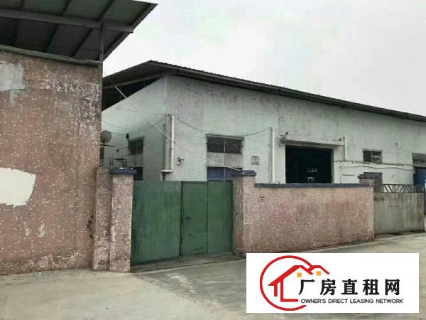 
独院单一层厂房出租1600平方
