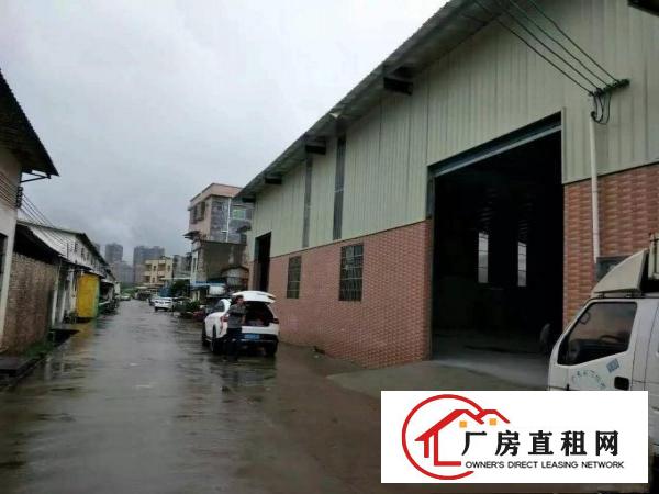 
常平袁山贝全新钢构厂房出租1200平米