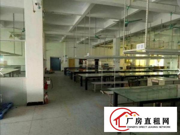 
常平靠大朗新出3层7800平方独院厂房，可分租