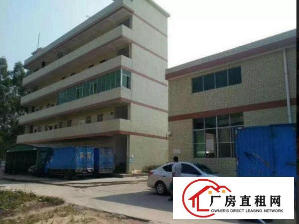 
常平朗洲新出经典单一层厂房2300平方，宿舍700