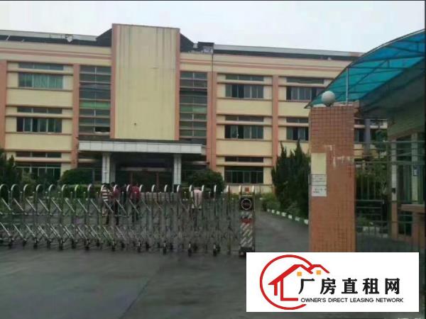 
常平超靓分租1楼600平米厂房招租