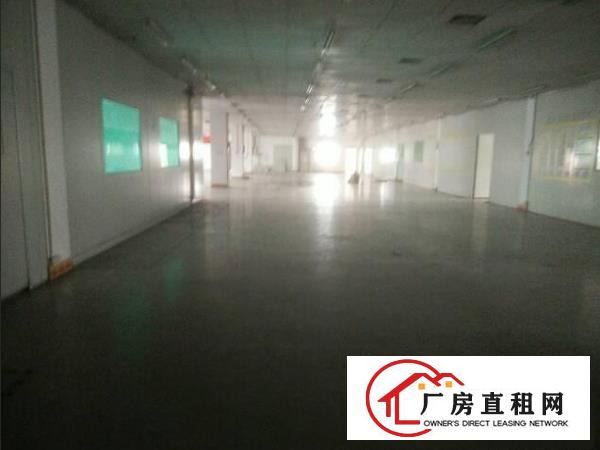 
常平超靓分租1楼600平米厂房招租