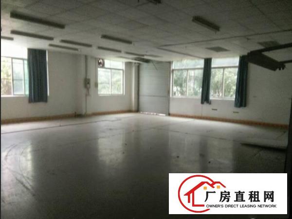 
常平超靓分租1楼600平米厂房招租