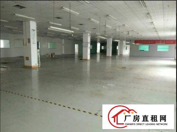 
常平超靓分租1楼600平米厂房招租