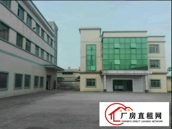 
常平环城路旁新出独院三层厂房2600平方