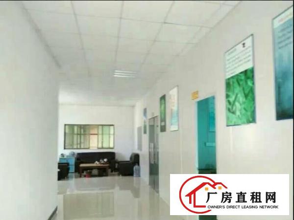 
常平环城路旁新出独院三层厂房2600平方