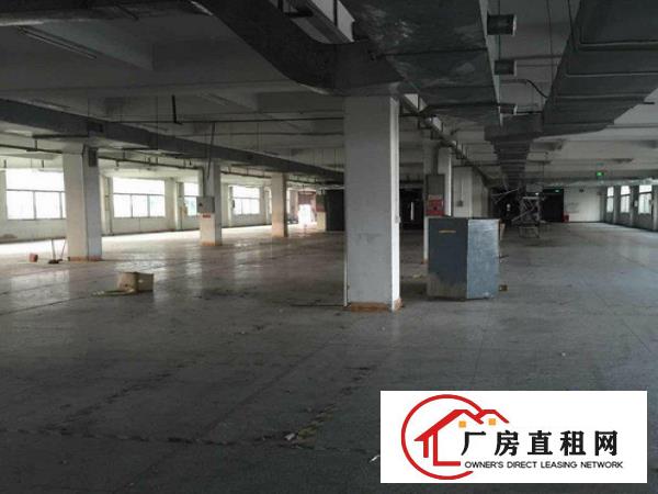 
常平九江水标准厂房二楼面积1100平