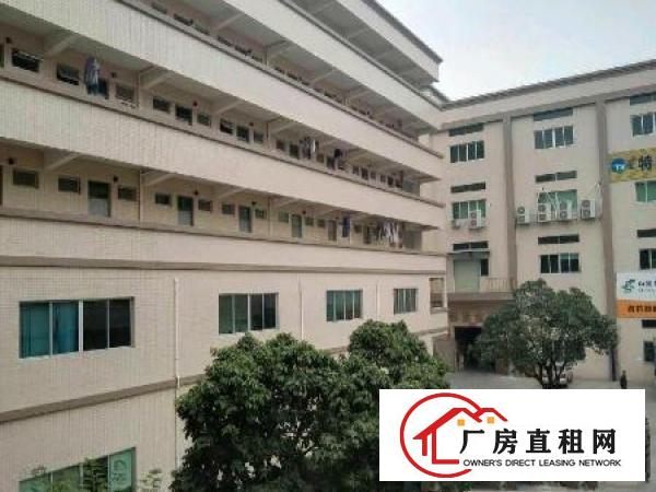 
常平岗梓原房东厂房出租1800平米