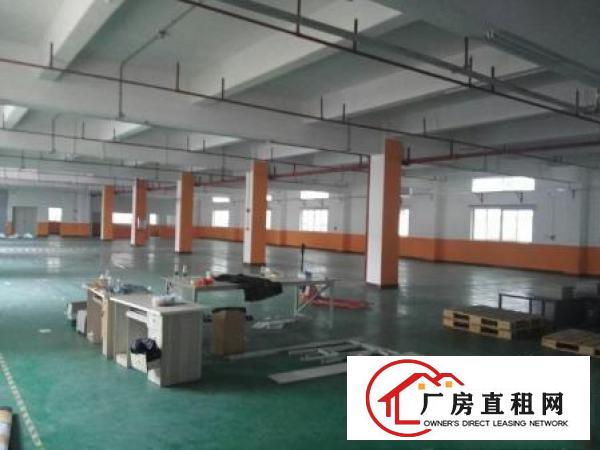 
常平岗梓原房东厂房出租1800平米