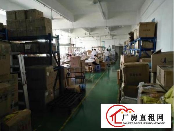 
常平金美（新出）2楼850平方带装修厂房出租
