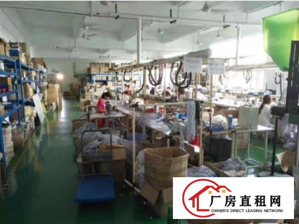 
常平金美（新出）2楼850平方带装修厂房出租