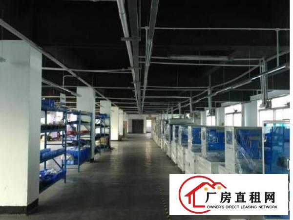 
常平塘角独院二三楼2000平米厂房大小分租