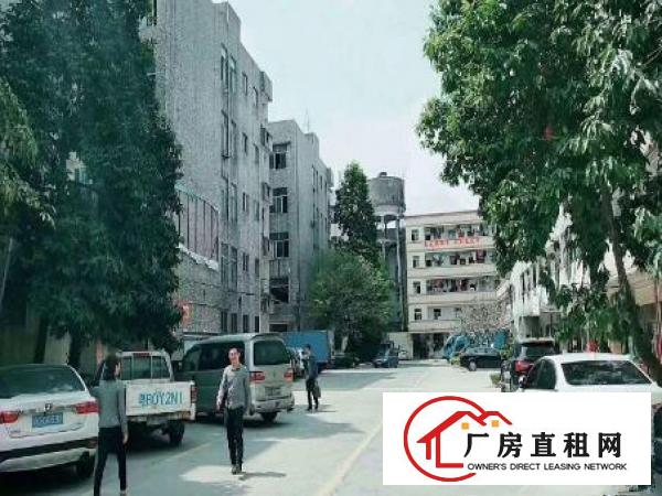 
常平袁山贝一楼1580平方厂房带装修出租