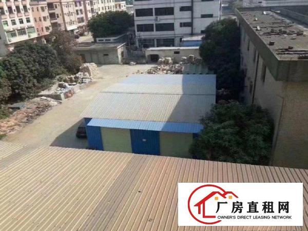 
东莞市常平镇靠近大京九小独院单层厂房