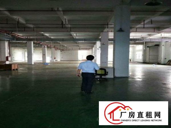 
常平镇新出原房东一楼1680方独门独院