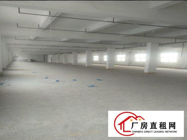 
常平新出客户分租一二楼3000平方，形象非常漂亮