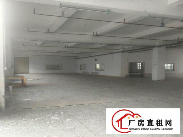 
常平新出客户分租一二楼3000平方，形象非常漂亮