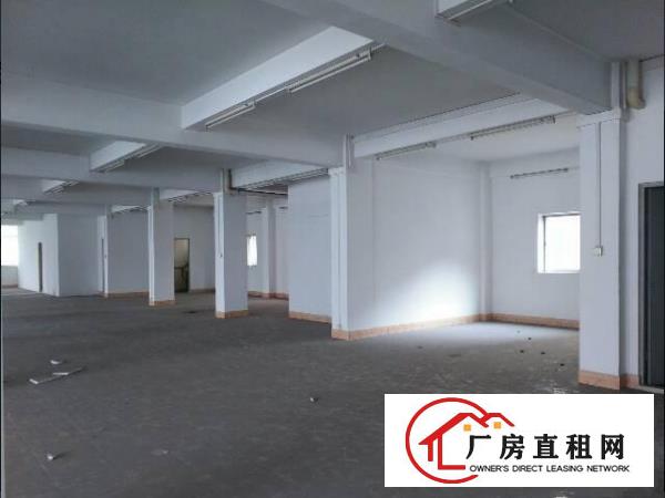 
常平新空出二楼600平方厂房出租，内有现成办公室
