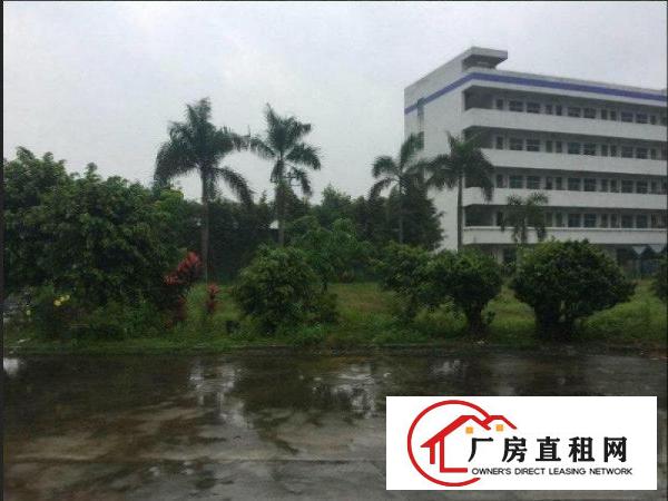 
东莞常平镇一楼1800平标准厂房带装修水电交通便
