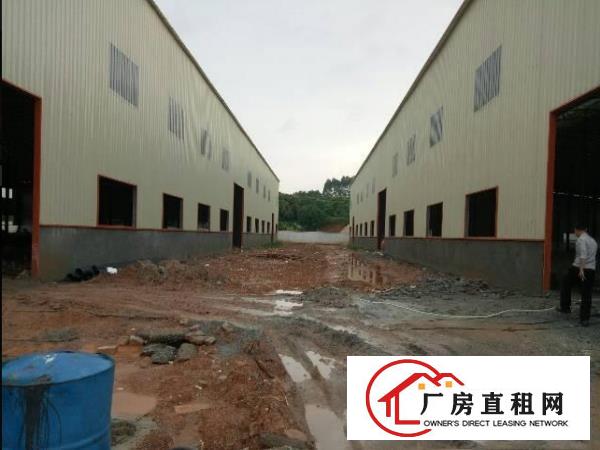
常平新建10米高单一层8800平方独院厂房招租