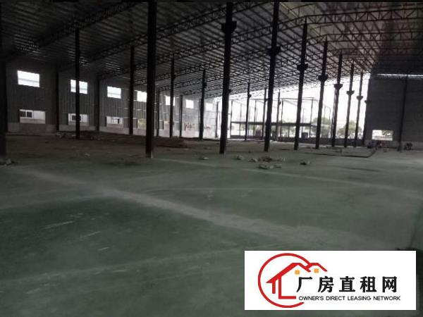
常平新建10米高单一层8800平方独院厂房招租